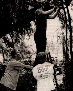Oh My God is Right.  
Thats me holding the ladder
for my roommate Toby, while
our friend bill helps us 
clean up after the Labor Day 
Storm of 1998